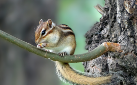 1972年属鼠人未来十年贵人 怎么才能遇到