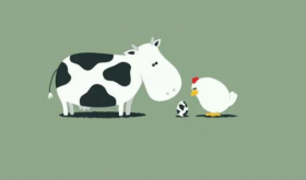 1997年属牛的最佳配偶 牛鼠配就不错哦