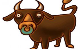 2021年属什么生肖，21年出生是什么命