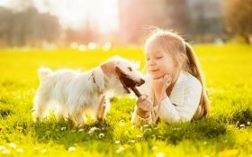 2019属猪女孩名字大全，文雅风才是属猪女孩取名主流