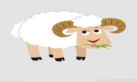 属羊什么时辰出生最好，体现在哪方面