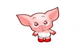 71年属猪48岁命运，事业稍有起色