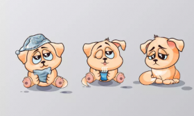 属猪的几月出生最好，二月份运势最佳