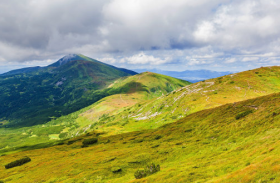 雨肖是哪几个生肖 他们都是什么样子的人呢