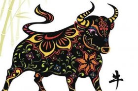 牛和羊相配婚姻如何，有什么优缺点