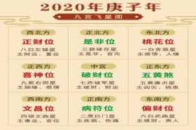 2020年不利什么方位图，如何化解