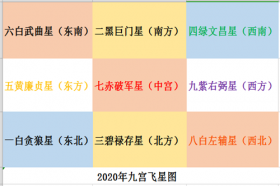 李居明2020年九宫飞星图解