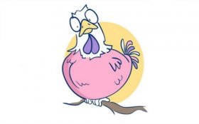 1993年属鸡人2020年运势女性  28岁生肖鸡2020年每月运程女