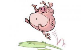 1995年属猪人2020年运势女性  26岁生肖猪2020年每月运程女