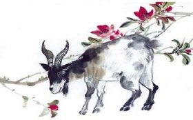 1955年属羊人2020年运势男性  66岁生肖羊2020年每月运程男