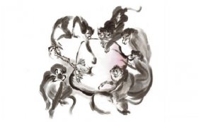 1956年属猴人2020年运势男性  65岁生肖猴2020年每月运程男