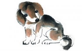 1958年属狗人2020年运势男性  63岁生肖狗2020年每月运程男