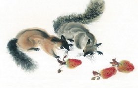 1960年属鼠人2020年运势男性  61岁生肖鼠2020年每月运程男