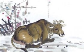 1961年属牛人2020年运势男性  60岁生肖牛2020年每月运程男