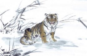 1962年属虎人2020年运势男性  59岁生肖虎2020年每月运程男