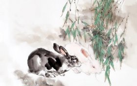 1963年属兔人2020年运势男性  58岁生肖兔2020年每月运程男