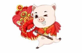 1995年属猪人2020年运势男性  26岁生肖猪2020年每月运程男