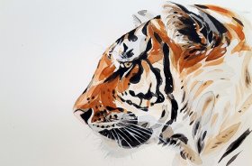 1998年属虎人2020年运势男性  23岁生肖虎2020年每月运程男