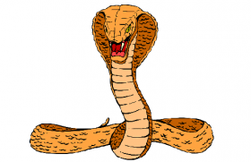 2001年属蛇人2020年运势男性  20岁生肖蛇2020年每月运程男