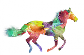 2002年属马人2020年运势男性  19岁生肖马2020年每月运程男