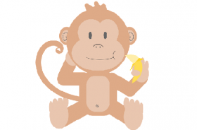 2004年属猴人2020年运势男性  17岁生肖猴2020年每月运程男