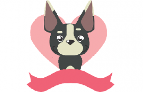 2006年属狗人2020年运势男性  15岁生肖狗2020年每月运程男