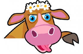 2009年属牛人2020年运势男性  12岁生肖牛2020年每月运程男