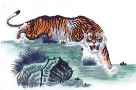 1998年属虎的人2021年运程-98年出生24岁属虎2021年运势