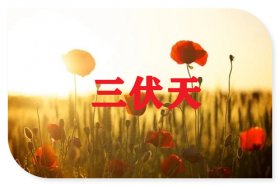 2021年入伏时间表，2021入伏是哪一天