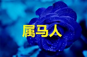 属马人2021年的幸运色是什么颜色，红色、蓝色、绿色