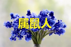 属鼠人2021年的幸运色是什么颜色，金色、蓝色、粉色