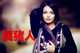 属猪人2021年的幸运色是什么颜色，黑色、蓝色、灰色