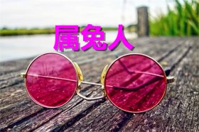 属兔人2021年的幸运色是什么颜色，蓝色、粉色、翠绿色