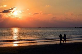 2001年属蛇姻缘在哪年，属蛇人姻缘最旺年份