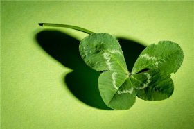 2022年感情必复合的生肖，2022年什么生肖能旧情复燃