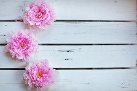 2022属猴的怎么催桃花，催桃花的方法有哪些