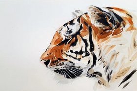 属虎2022年上半年运气如何，有什么样的发展