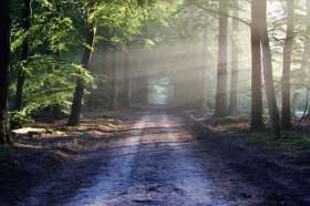 属牛97的几岁开始走运，97年属牛什么时候转运