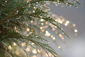 100分吉祥手机号码，哪些手机号码能发财