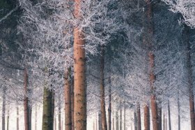 2022年防小人风水布局，犯小人应该怎么做