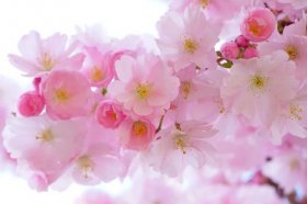 最吉利旺财的微信名，什么微信昵称好