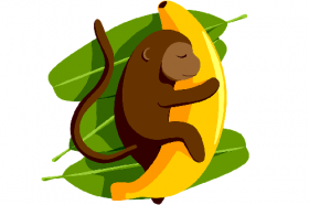 属猴养什么宠物旺运气，养这几种旺财又旺宅