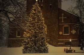 2022年冲哪年猴，如何才能化解