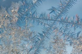 2022年属猴要宝宝如何化解，属猴人适合生几个孩子