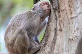 1968年属猴女在2022年的财运，整体运势怎么样