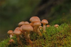 2022年属蛇的小人是谁，需要远离谁