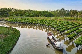 77年属蛇沙中土最适合干什么，做什么行业最好