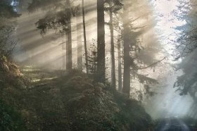 2022年水逆影响严重的星座，2022年水逆星座有哪些