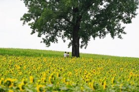 2022年巨蟹座下半年太可怕了，巨蟹座下半年运势分析