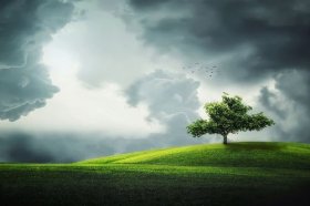 2022星座事业排名，哪个星座将走事业运